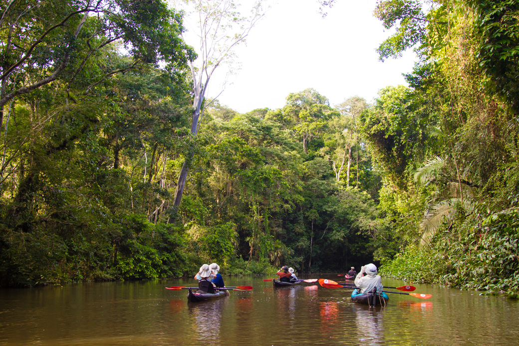 Kayaking group paddling down an amazon jungle river 