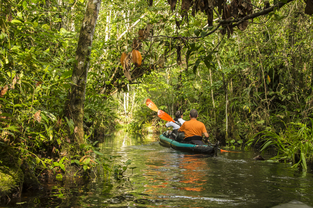 tofino expeditions amazon amazon kayaking trip
