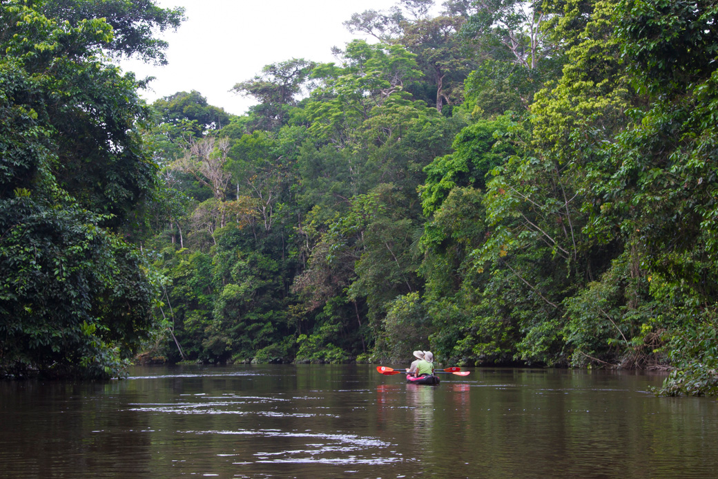 Couple kayaking down an Amazon river 