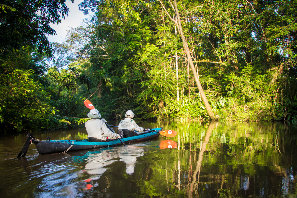 Kayaking in the late afternoon on the Pañayacu River Kayaking in the late afternoon on the Pañayacu River
