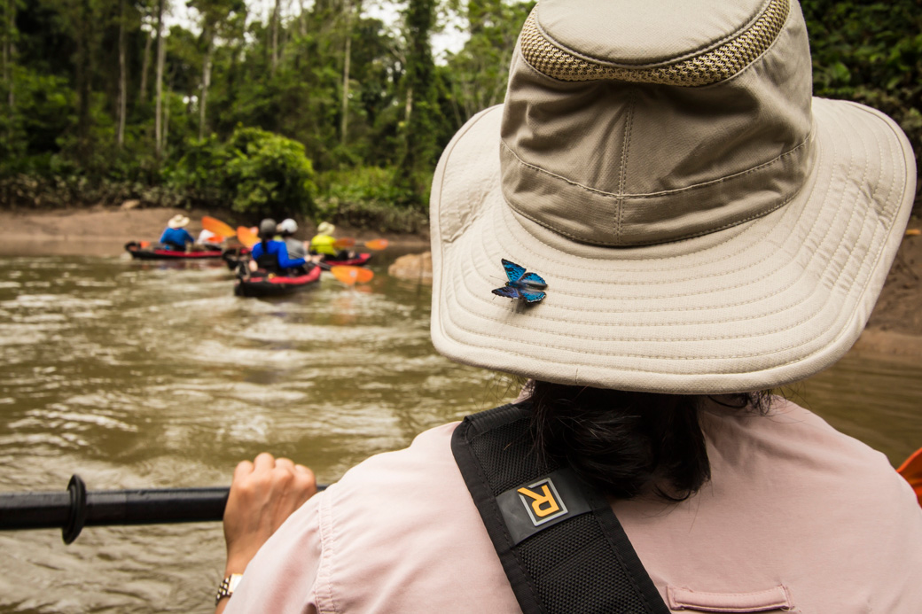 Butterfly hitching a ride while descending an Amazon river by kayak.