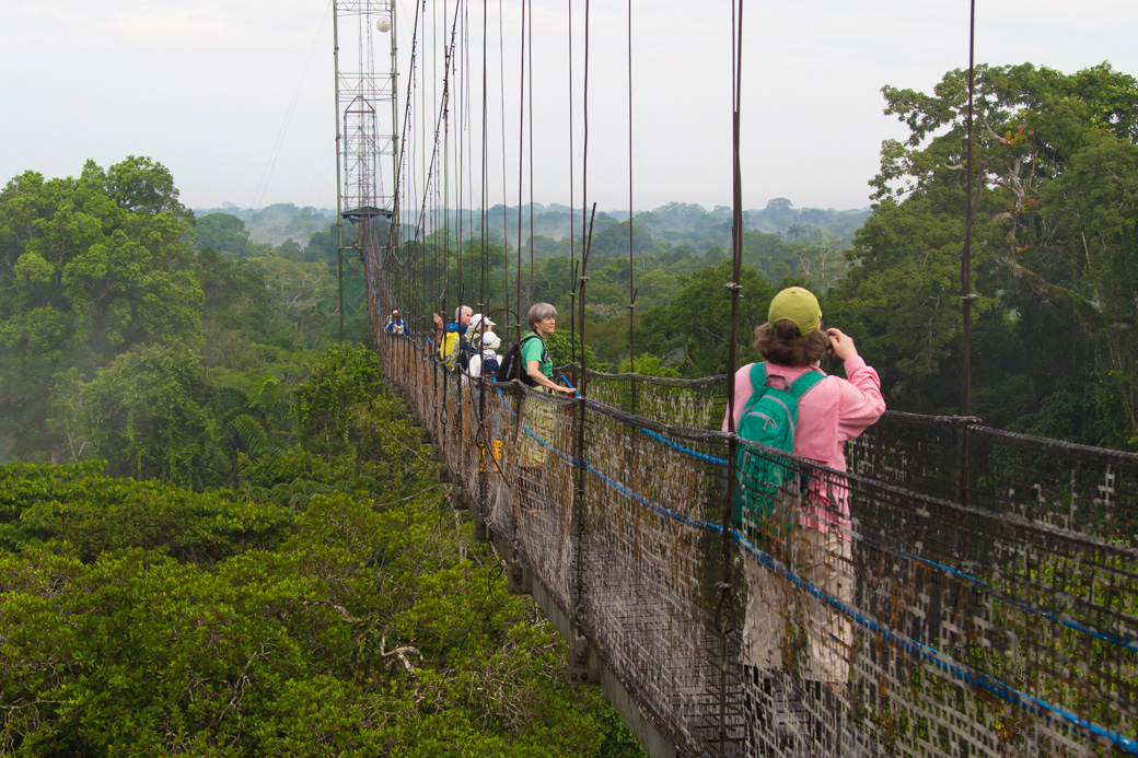Wildlife viewing from the jungle canopy walk at Sacha Lodge 