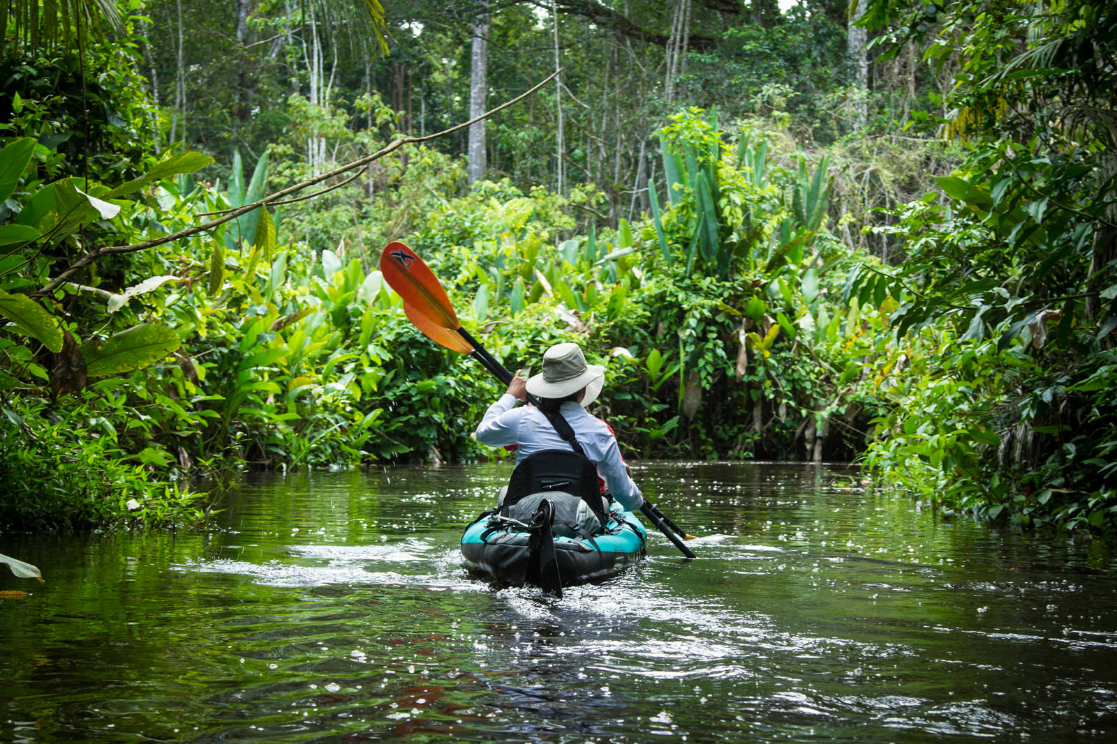 a kayaking tour