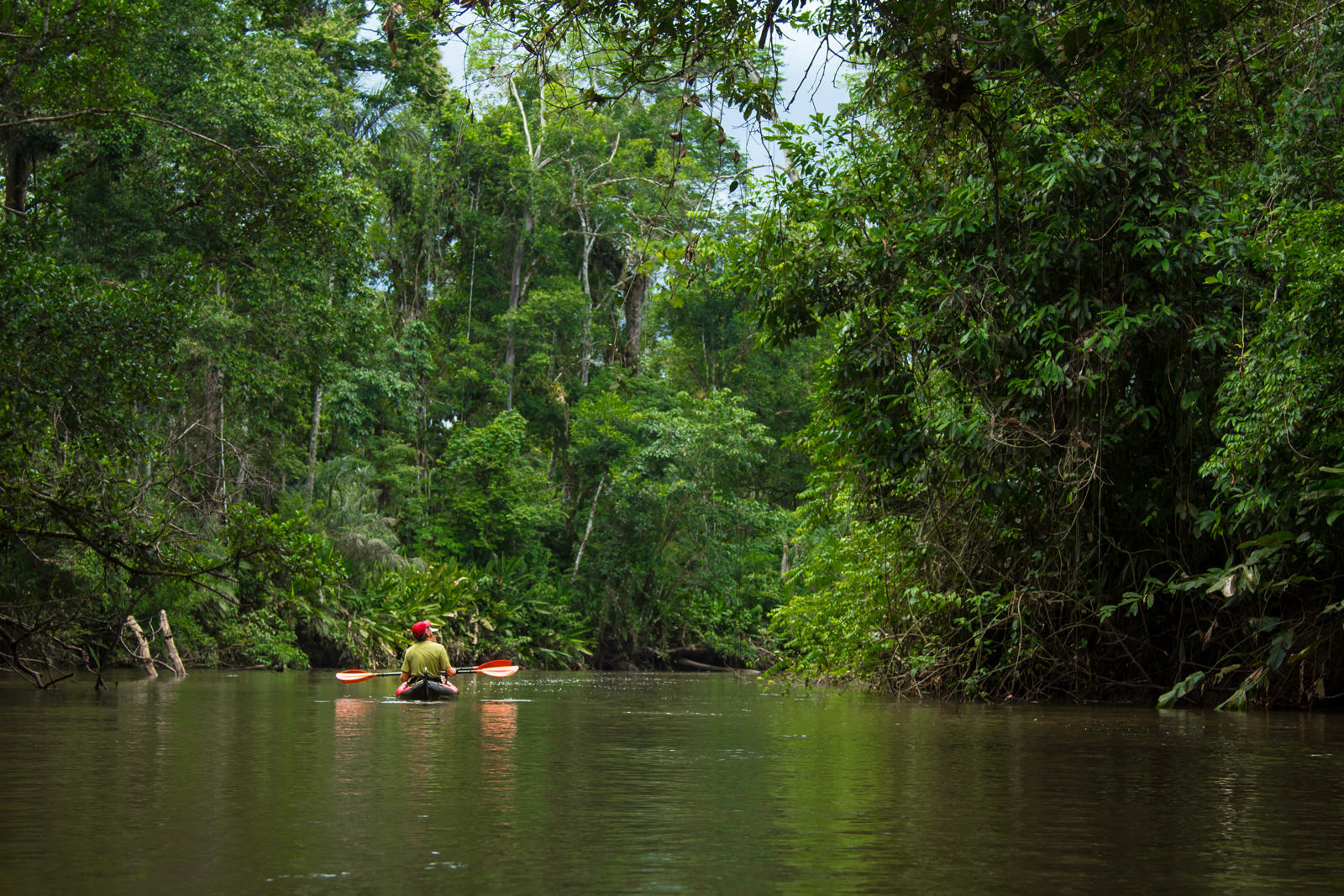 Amazon Kayaking Tours Lodge Based Kayak Trips
