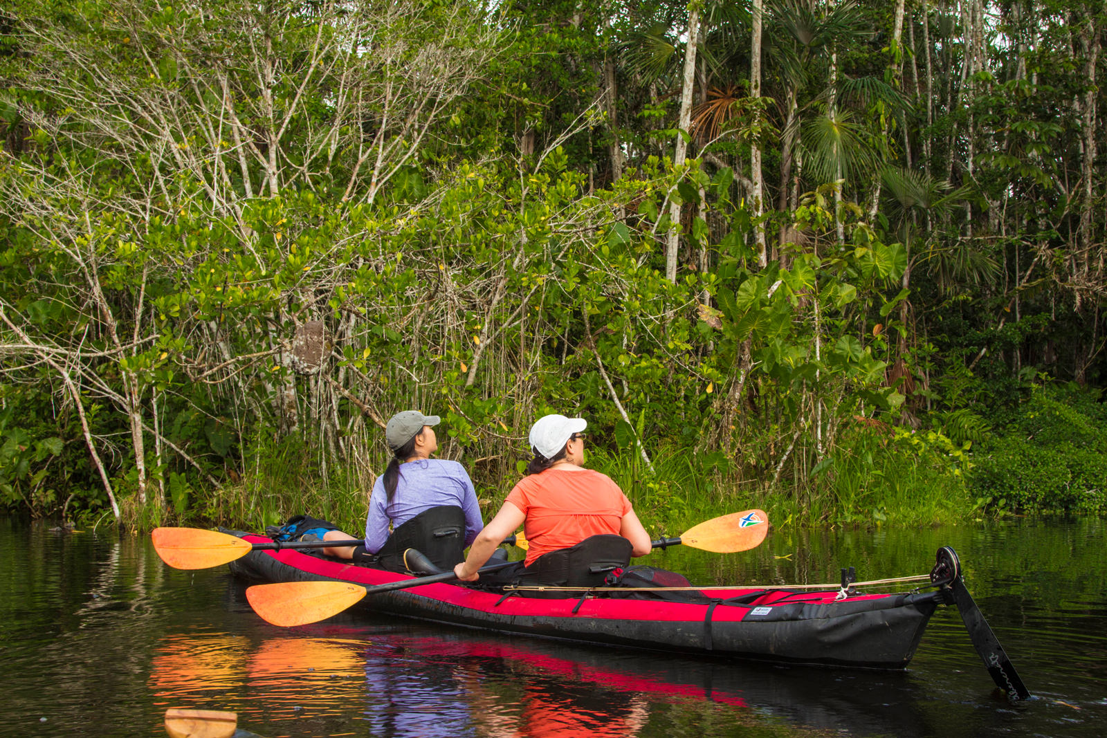 Amazon Kayaking Tours Lodge Based Kayak Trips