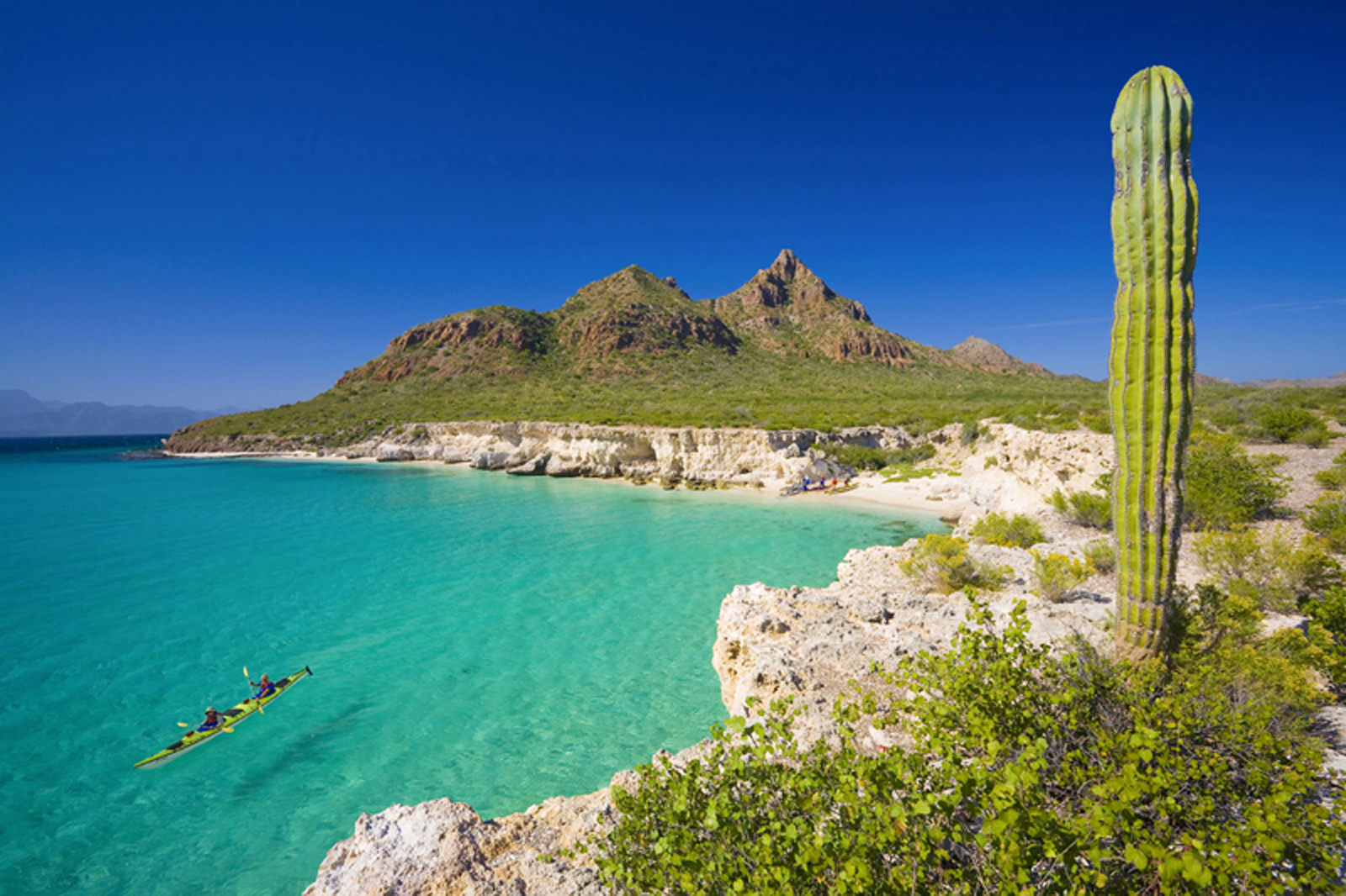 Baja Kayaking Mexico And Sea Of Cortez Sea Kayak Trips Since 1988