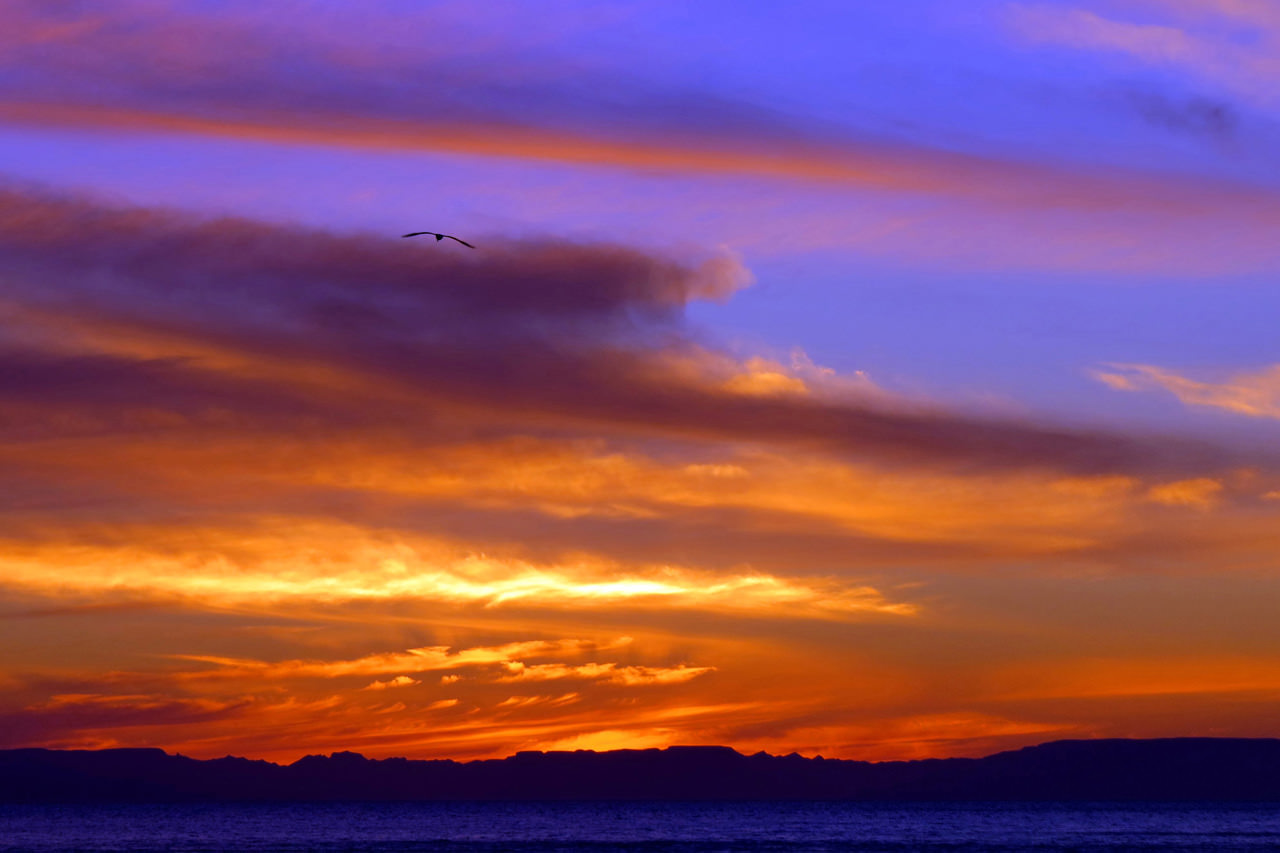 /uploaded-files/baja/baja-kayaking-tours-sunset-loreto-bay-t4.jpg