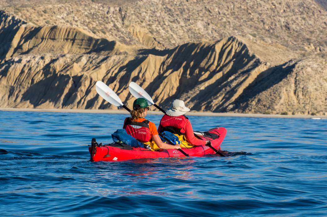 Baja Kayaking Isla San Jose