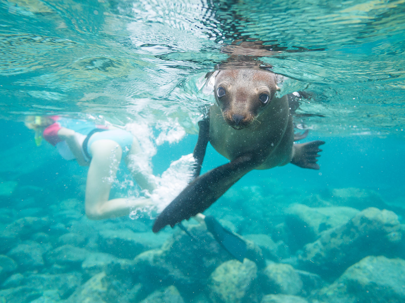 Baja Kayaking Espiritu Santo Island