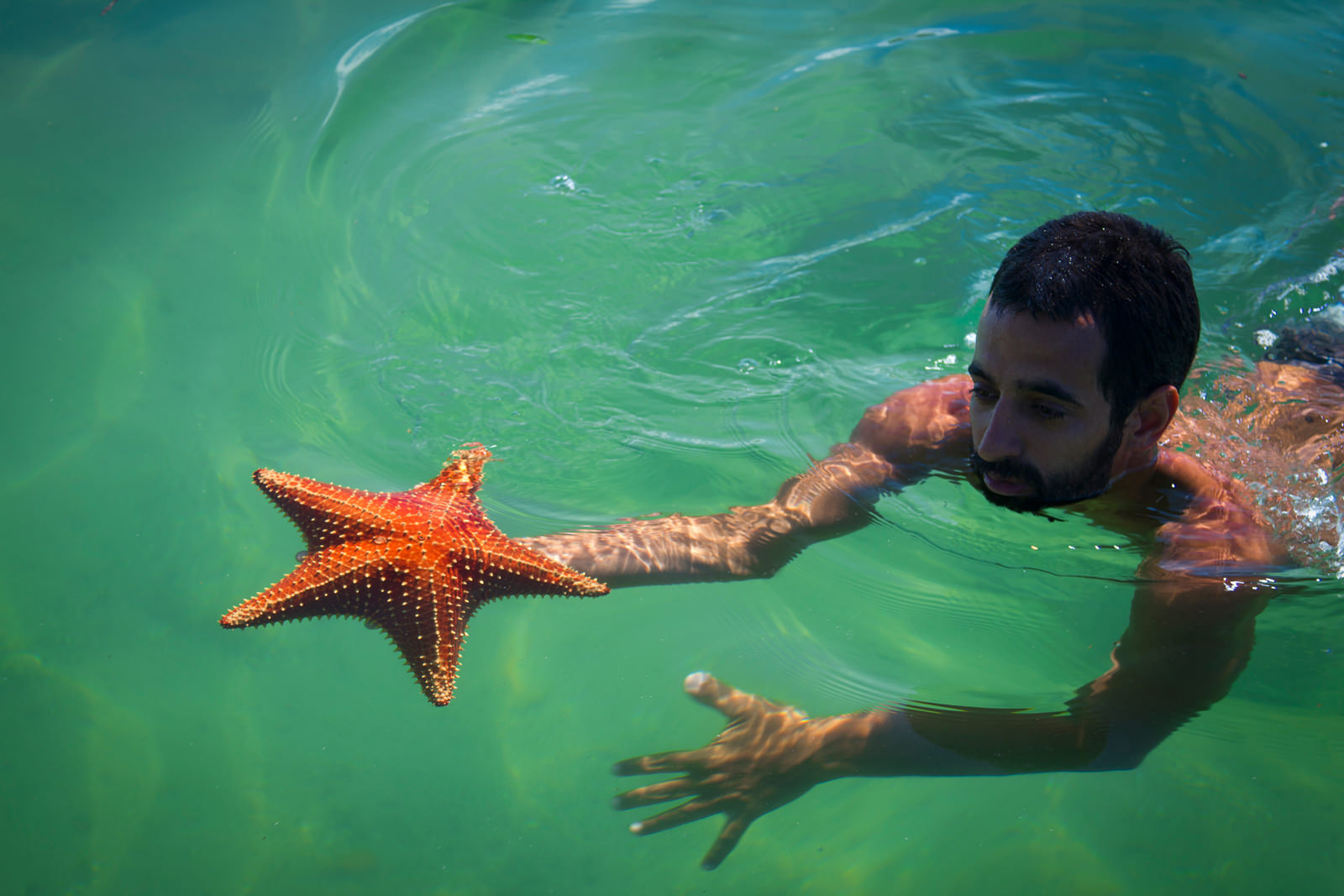 /uploaded-files/brazil/brazil-kayak-tours-costa-verde-swimmer-T4.jpg