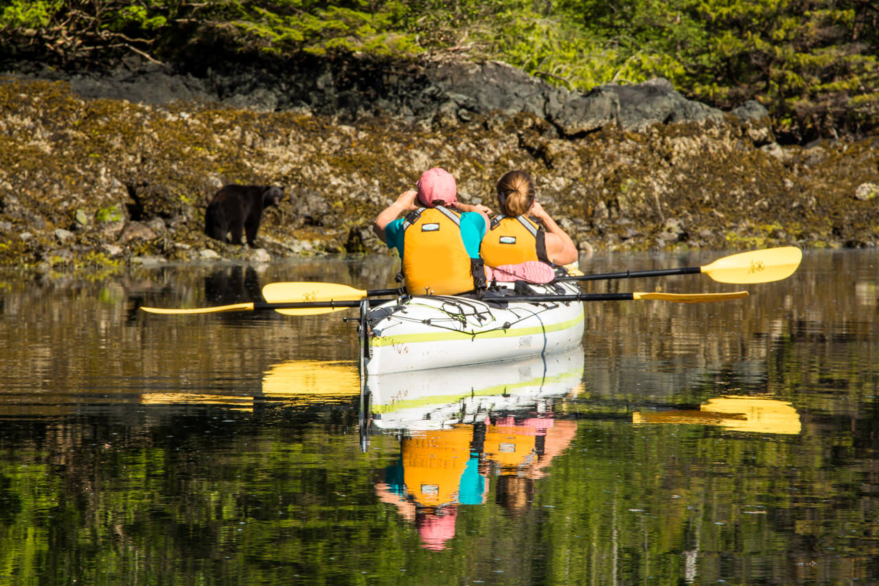 Haida Gwaii Kayaking Tours in Gwaii Haanas Park Since 1988