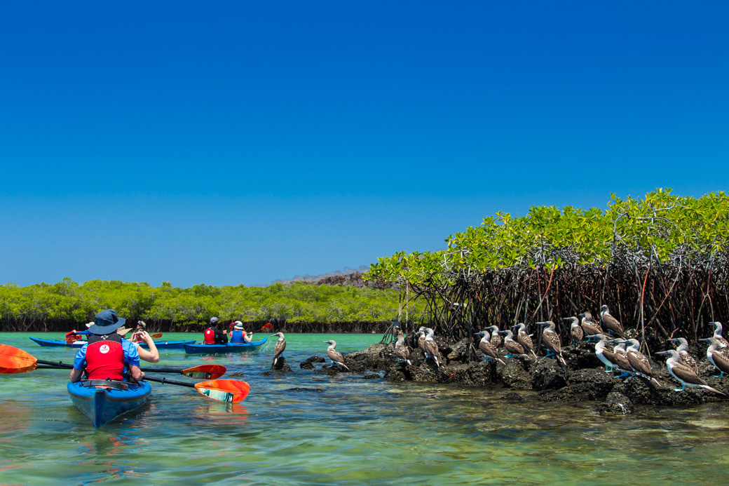 Galapagos Kayaking Tours  -  A Land Based Kayak Exploration of the Galapagos Islands
