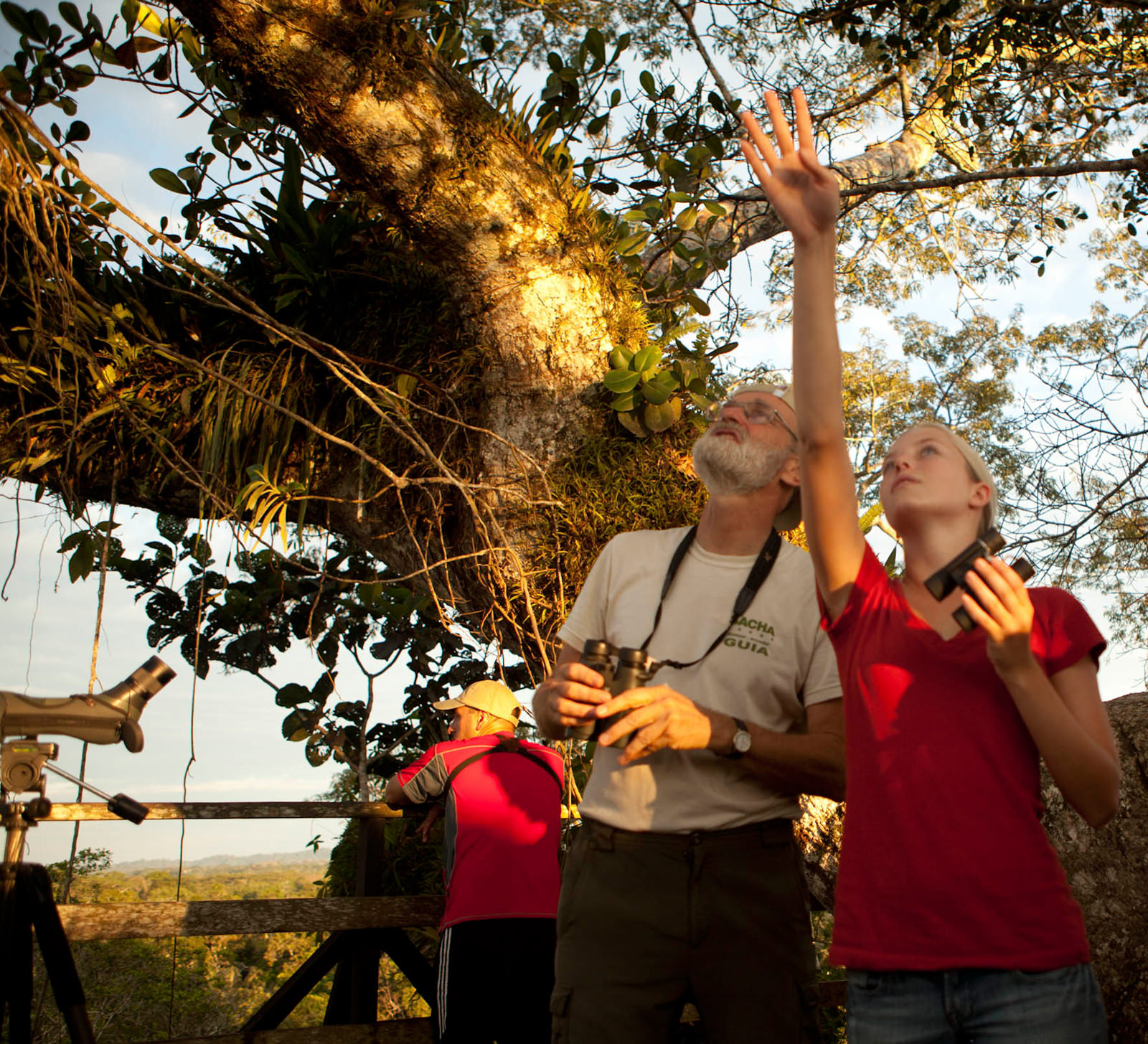 Birding and Expert Interpretation