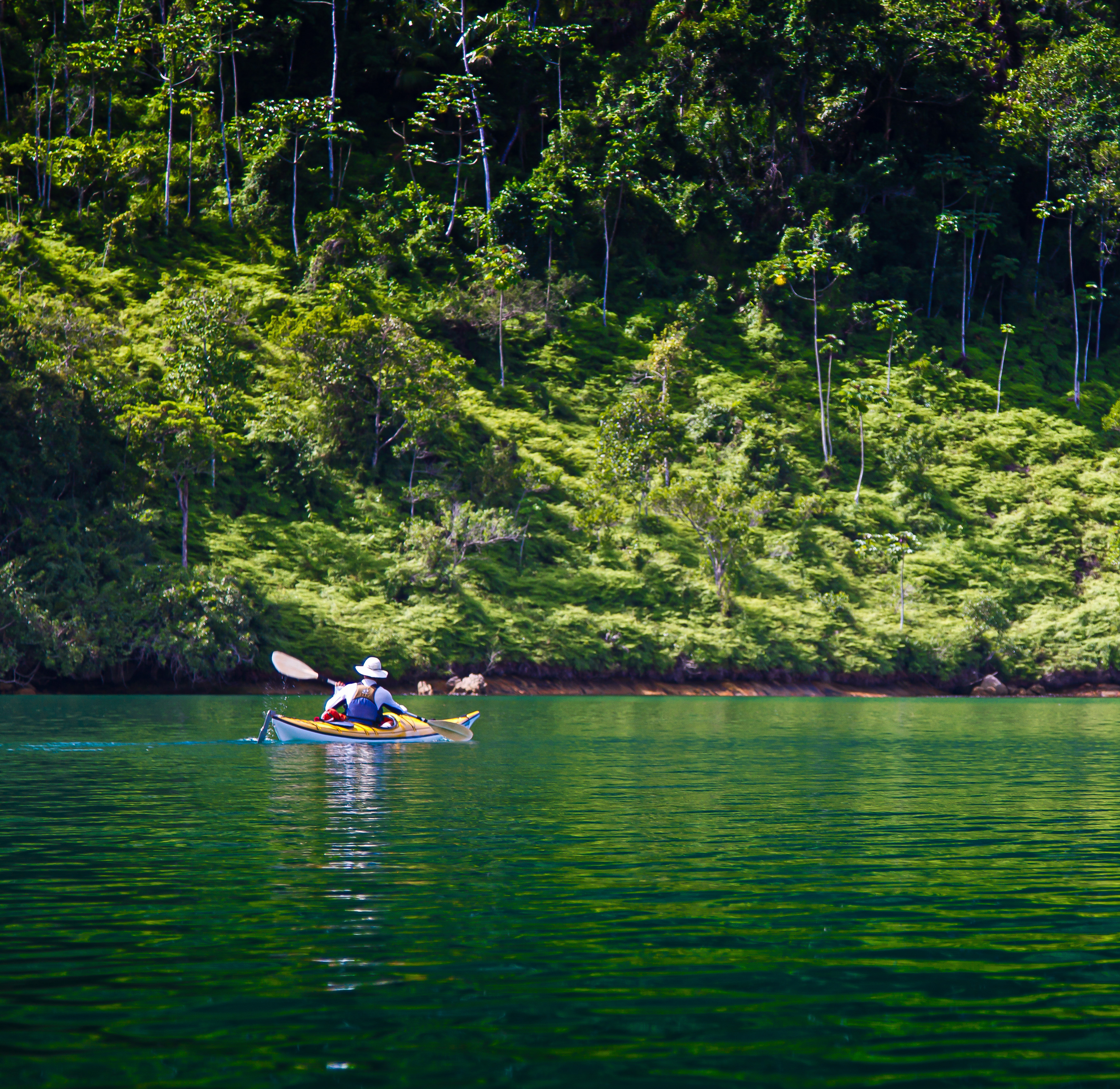 Kayaker paddling the green coast of the Costa Verde and Brazil kayaking tour.