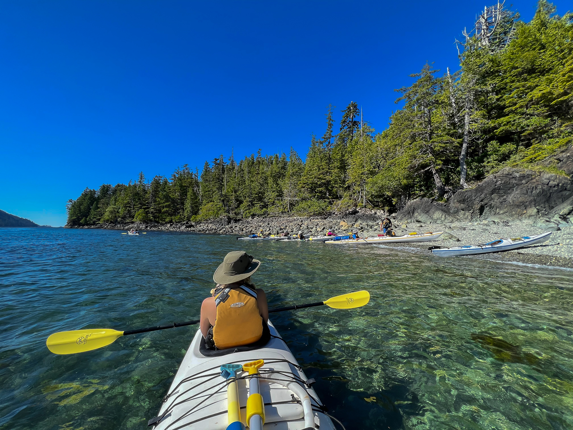 clear water paddler