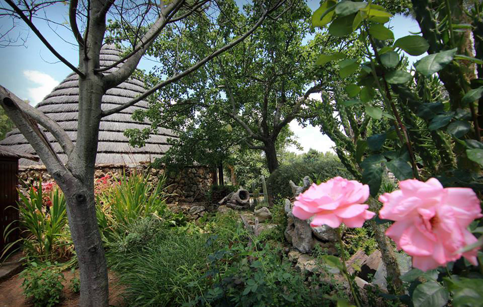 Agriturismo Sa Mandra